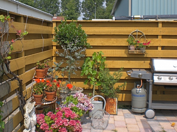 Schutting beitsen