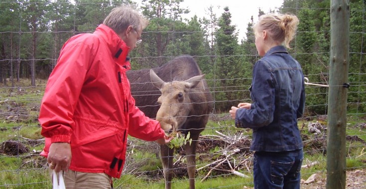 Eland steelt appels