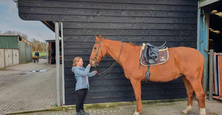 paardenstal verven houten paardenstal schilderen